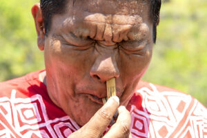 Indígena da etnia Macuxi - aldeia Raposa 1 - aplicando rapé medicinal na narina esquerda usando o tipi - Terra Indígena Raposa Serra do Sol Local: Normandia - RR Data: 10/2021 Codigo:  03CAD331 Autor: Cadu De Castro